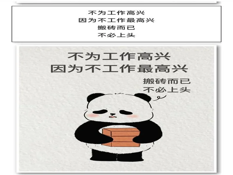 hally谈阵容磨合：批评或许有道理，但我不会贬低自己的工作